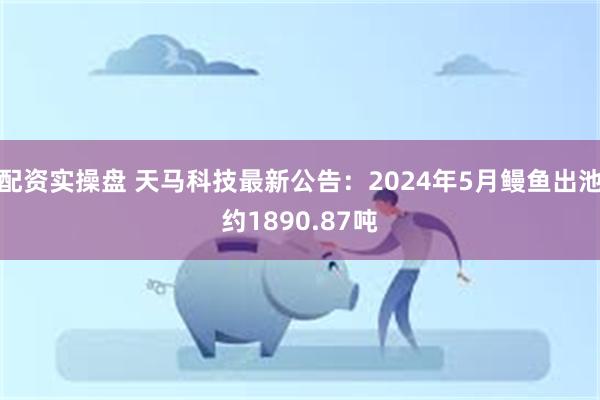 配资实操盘 天马科技最新公告：2024年5月鳗鱼出池约1890.87吨