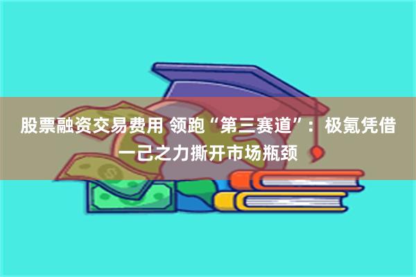 股票融资交易费用 领跑“第三赛道”：极氪凭借一己之力撕开市场瓶颈