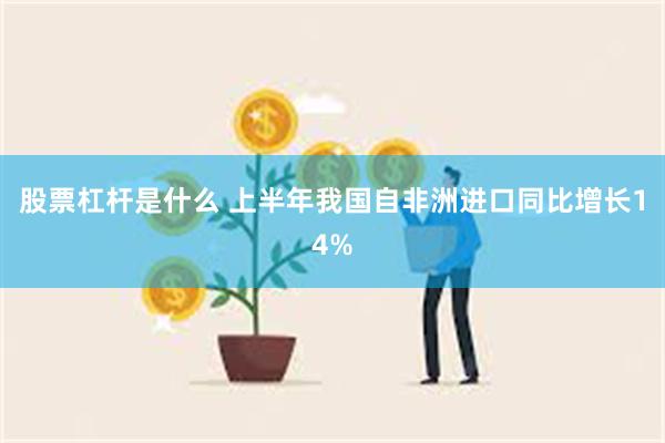 股票杠杆是什么 上半年我国自非洲进口同比增长14%