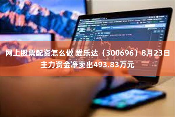 网上股票配资怎么做 爱乐达（300696）8月23日主力资金净卖出493.83万元