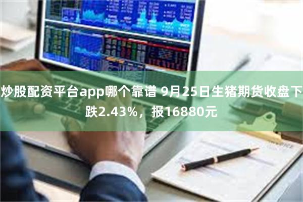 炒股配资平台app哪个靠谱 9月25日生猪期货收盘下跌2.43%，报16880元