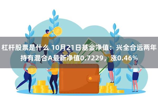 杠杆股票是什么 10月21日基金净值：兴全合远两年持有混合A最新净值0.7229，涨0.46%