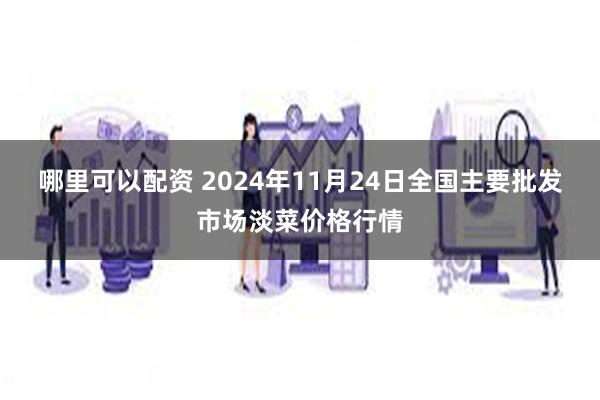 哪里可以配资 2024年11月24日全国主要批发市场淡菜价格行情