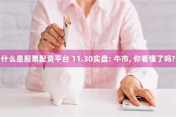 什么是股票配资平台 11.30实盘: 牛市, 你看懂了吗?