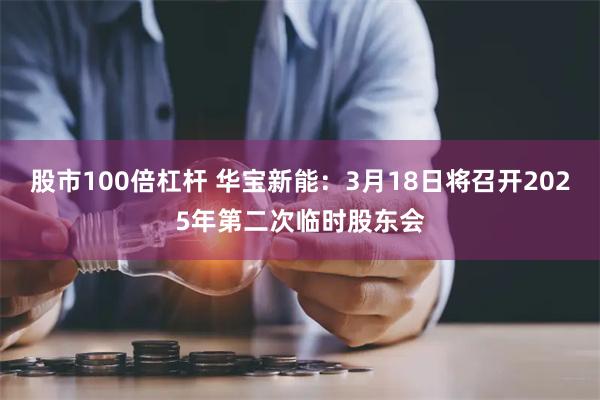 股市100倍杠杆 华宝新能：3月18日将召开2025年第二次临时股东会