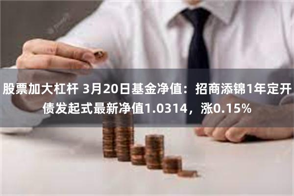 股票加大杠杆 3月20日基金净值：招商添锦1年定开债发起式最新净值1.0314，涨0.15%