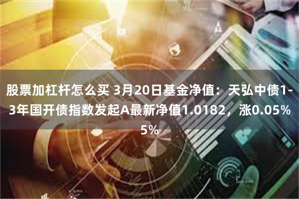 股票加杠杆怎么买 3月20日基金净值：天弘中债1-3年国开债指数发起A最新净值1.0182，涨0.05%